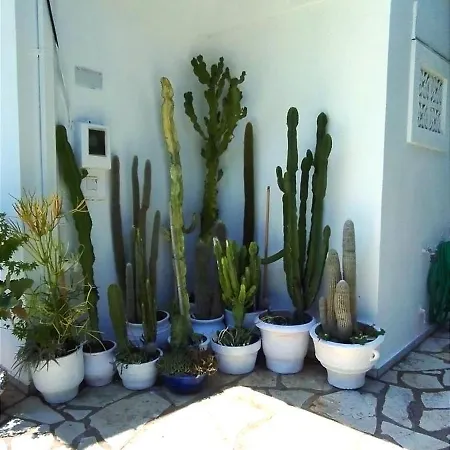 Aleka's House 3*