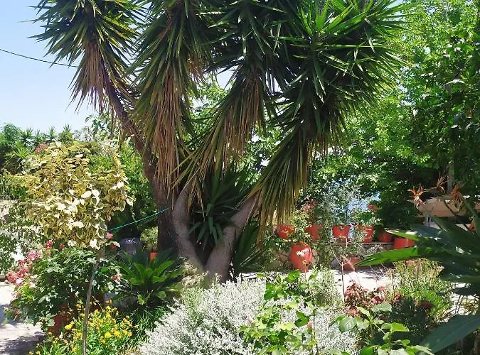 Πανσιόν Aleka's House 3*
