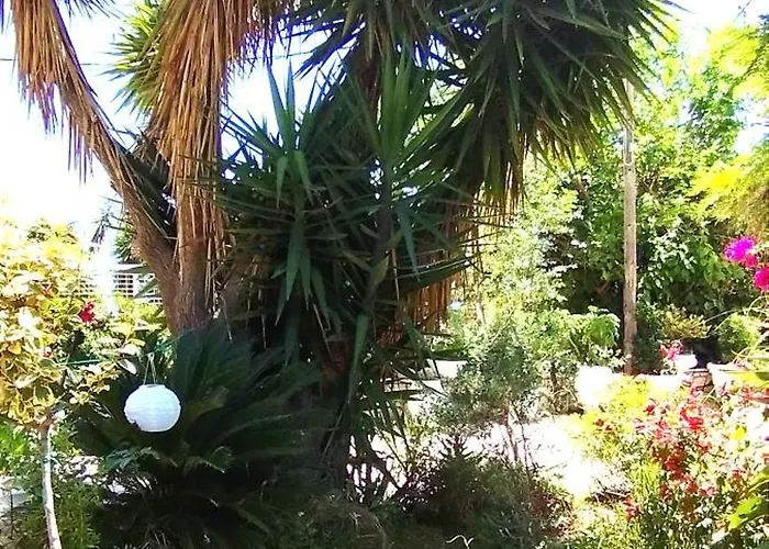Πανσιόν Aleka's House Νικιάνα