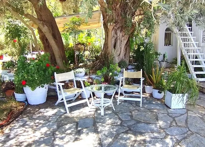 Πανσιόν Aleka's House Νικιάνα
