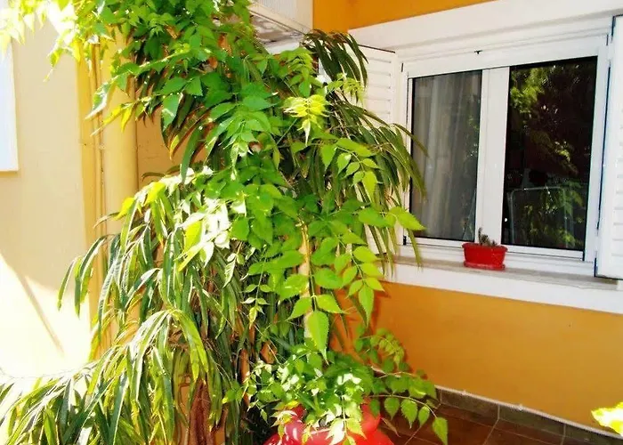 Aleka's House Νικιάνα