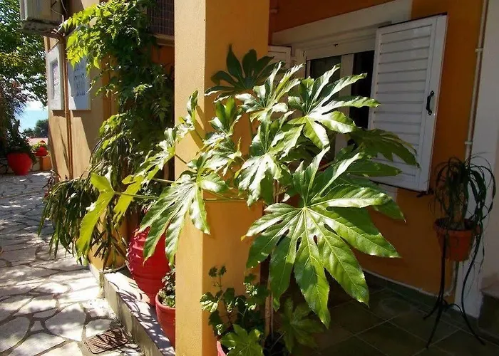 Aleka's House 3*